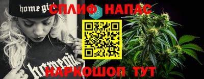 СК Абинск