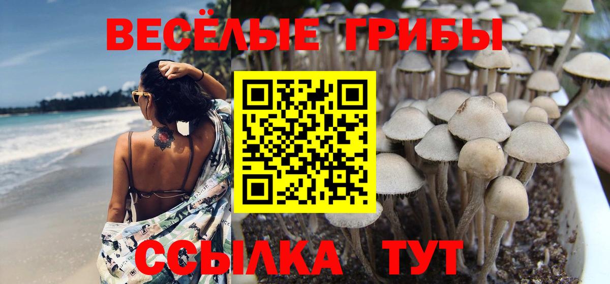 Галлюциногенные грибы Magic Shrooms  Галлюциногенные грибы MAGIC MUSHROOMS  Александров 