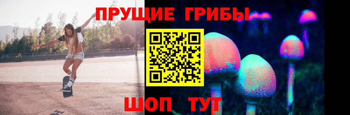 Псилоцибиновые грибы Psilocybe Александров
